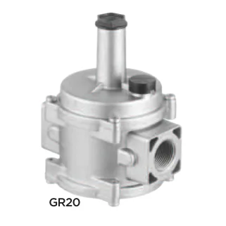 SMS Tork GR20.03 GR20 (TORK-GR1) Serisi Doğal Gaz Düz Regülatör