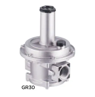 SMS Tork GR30.03 GR30 (TORK-GR) Serisi Doğal Gaz Düz Regülatör