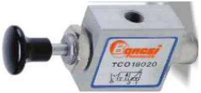 Uzay Pnömatik TC018010 3/2 Valfler (Düğme Uyarılı)
