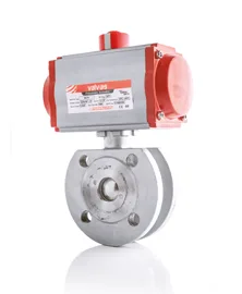 Valvos V2448413-CIFT-ETKILI Paslanmaz Mono Blok Küresel Vana / Stainless Mono Block Ball Valve